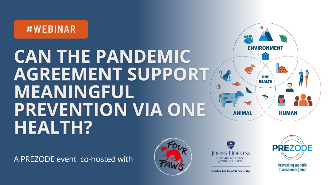 Can the pandemic agreement support meaningful prevention via One Health?  image