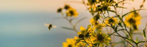 COLLABORATION PRINCIPLES image