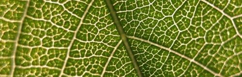 STRATEGIC AGENDA image